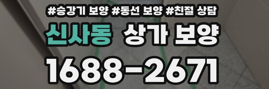 신사동 상가 보양