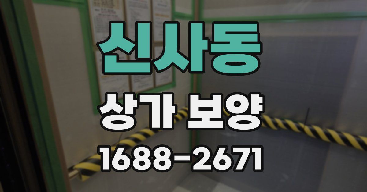 신사동 상가 보양