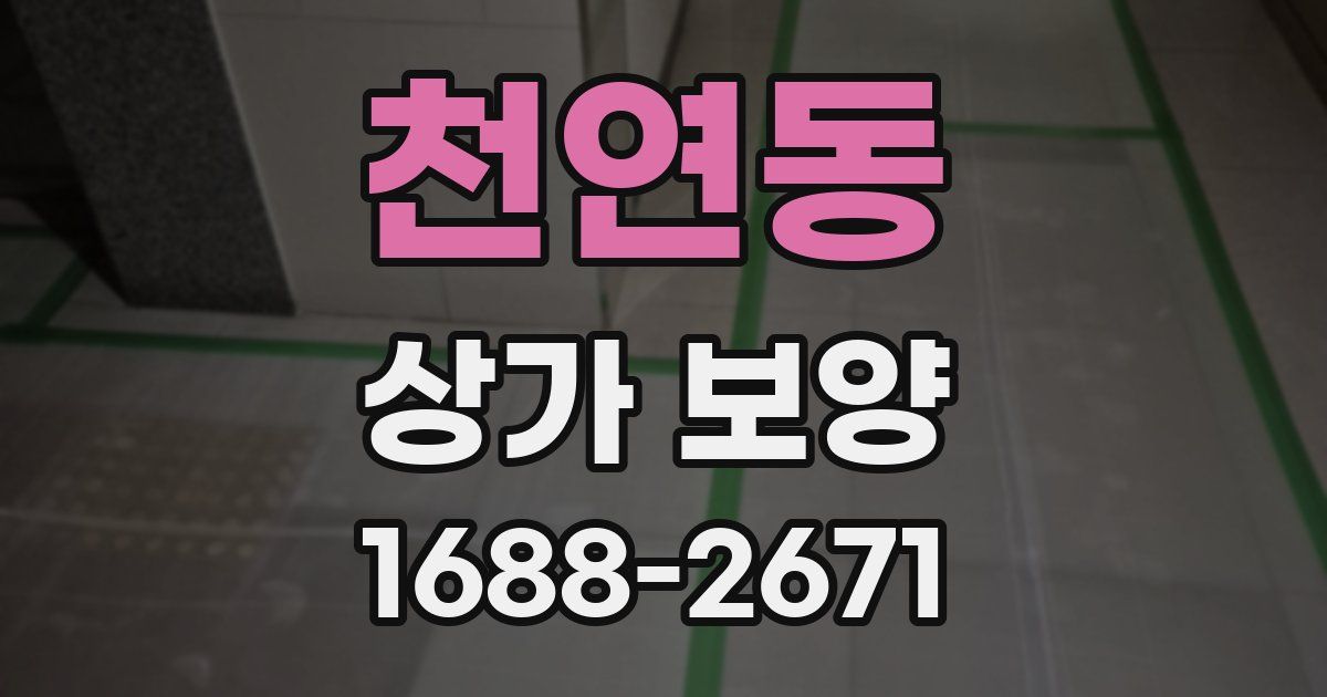 천연동 상가 보양