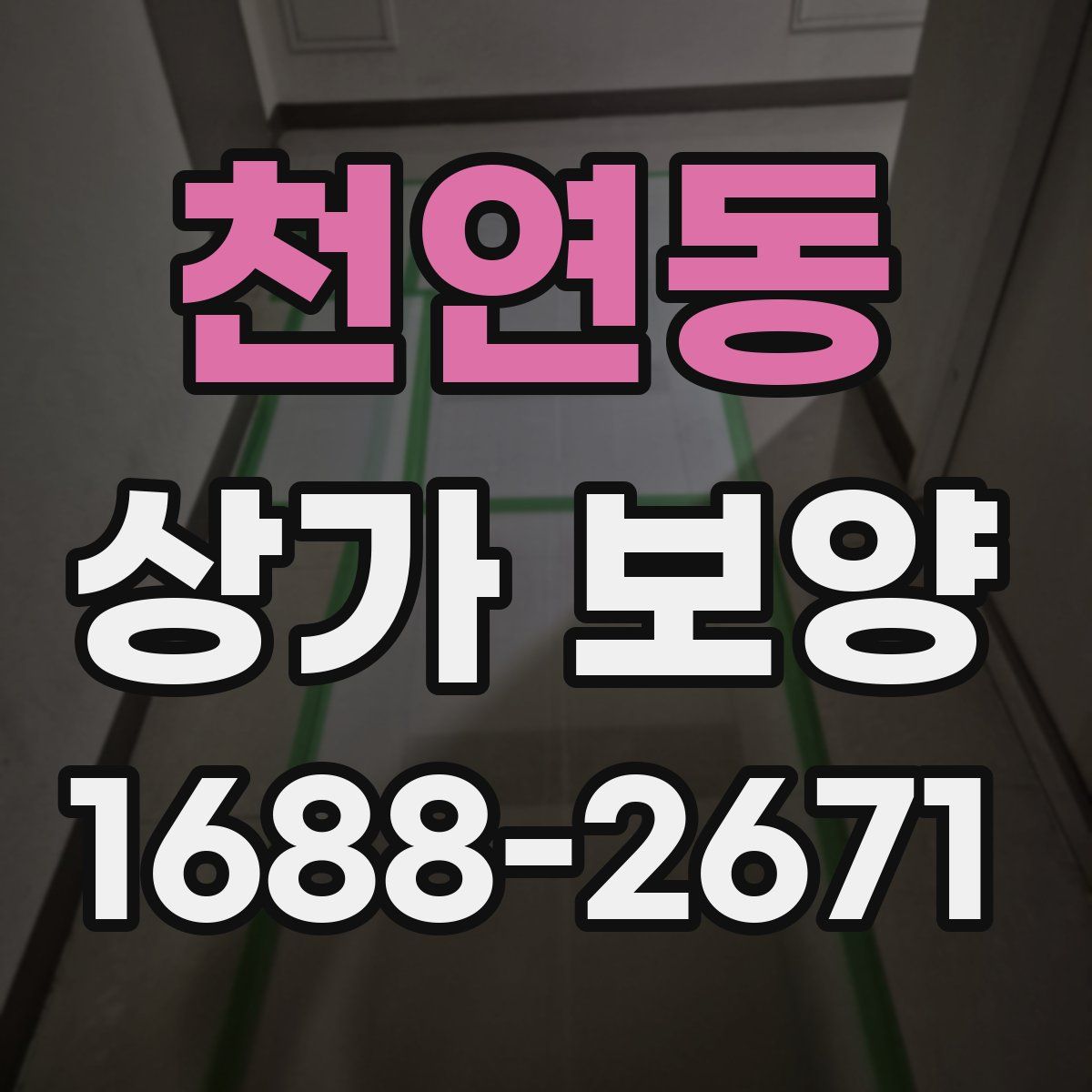 천연동 상가 보양
