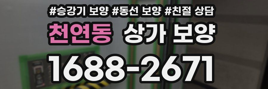 천연동 상가 보양