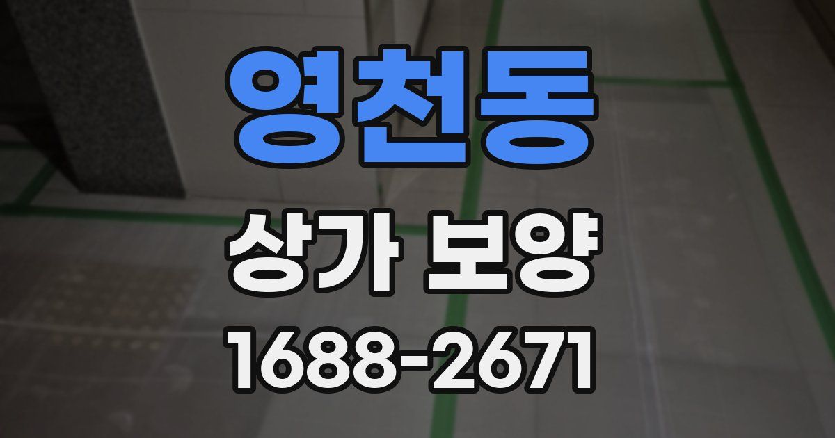 영천동 상가 보양