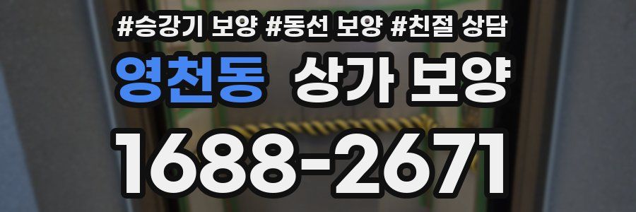 영천동 상가 보양