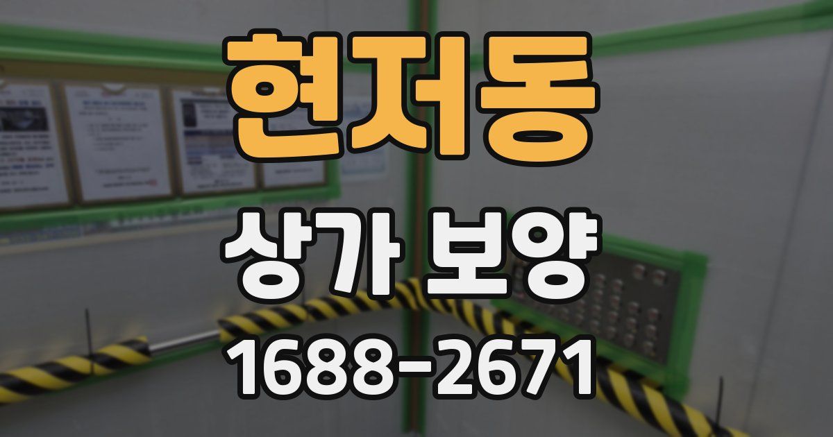 현저동 상가 보양