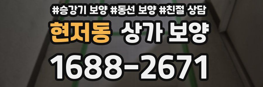 현저동 상가 보양