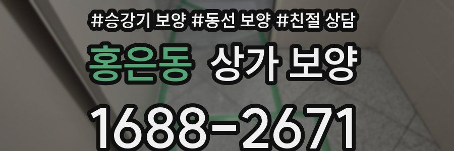 홍은동 상가 보양