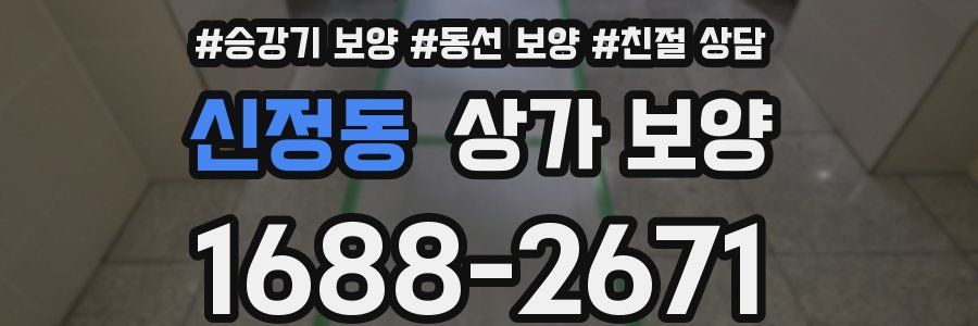 신정동 상가 보양