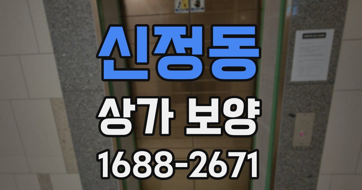신정동 상가 보양