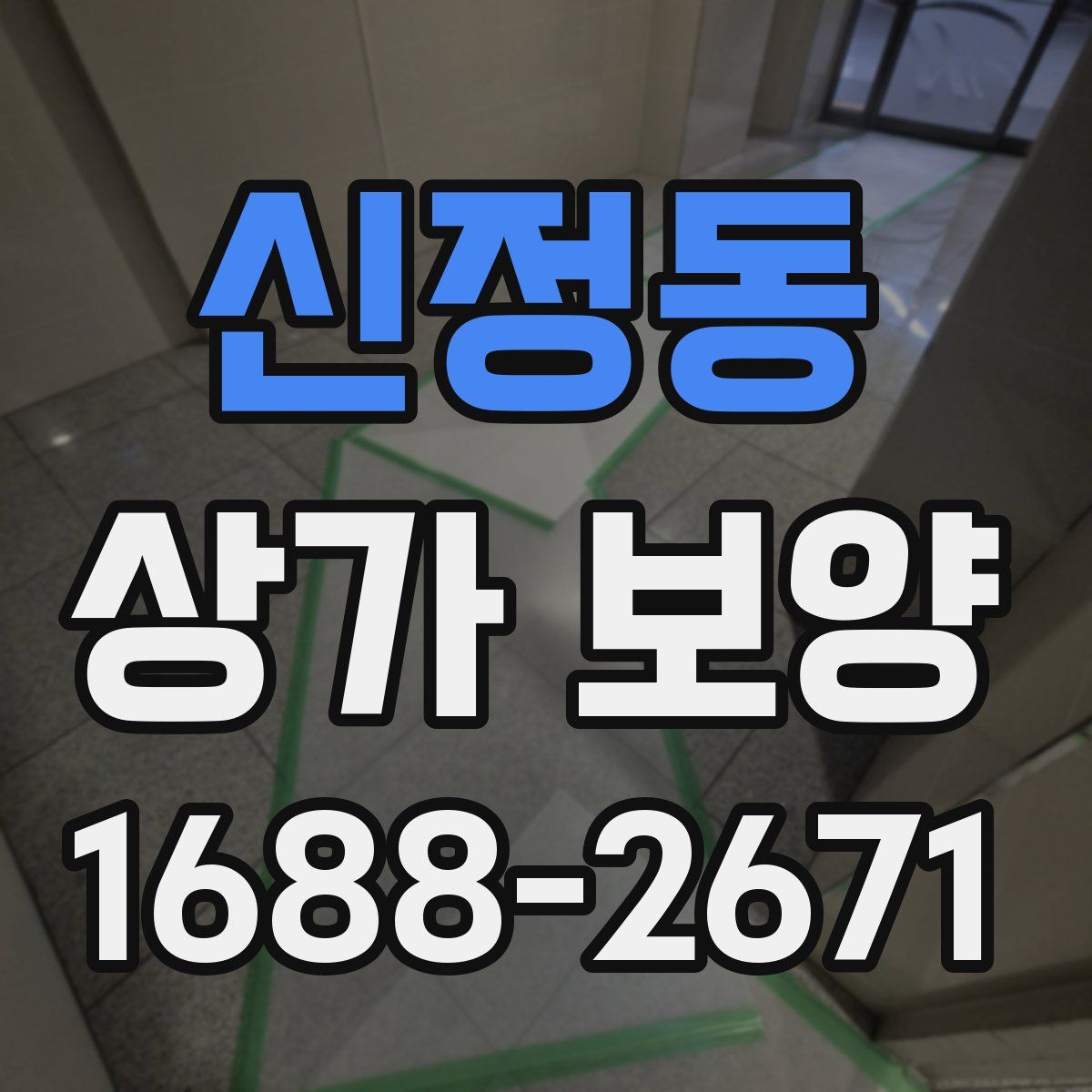 신정동 상가 보양