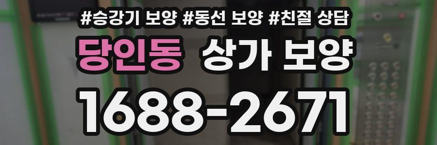 당인동 상가 보양