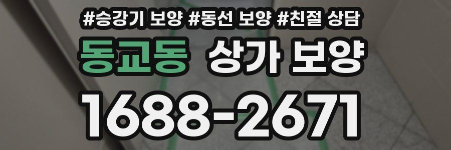 동교동 상가 보양