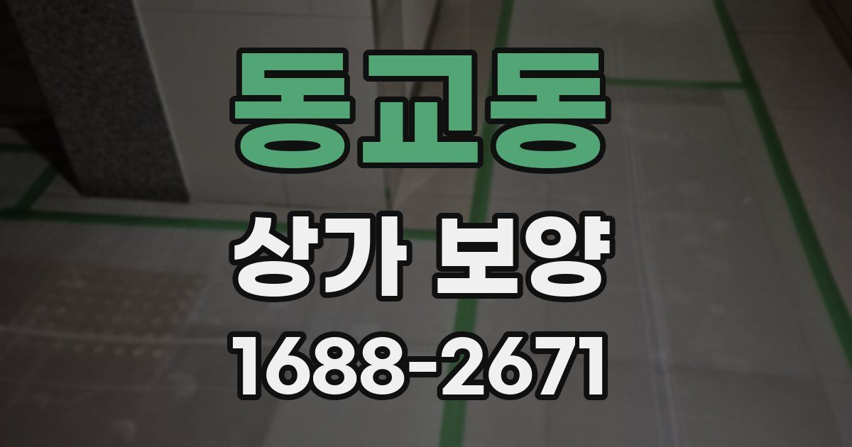 동교동 상가 보양