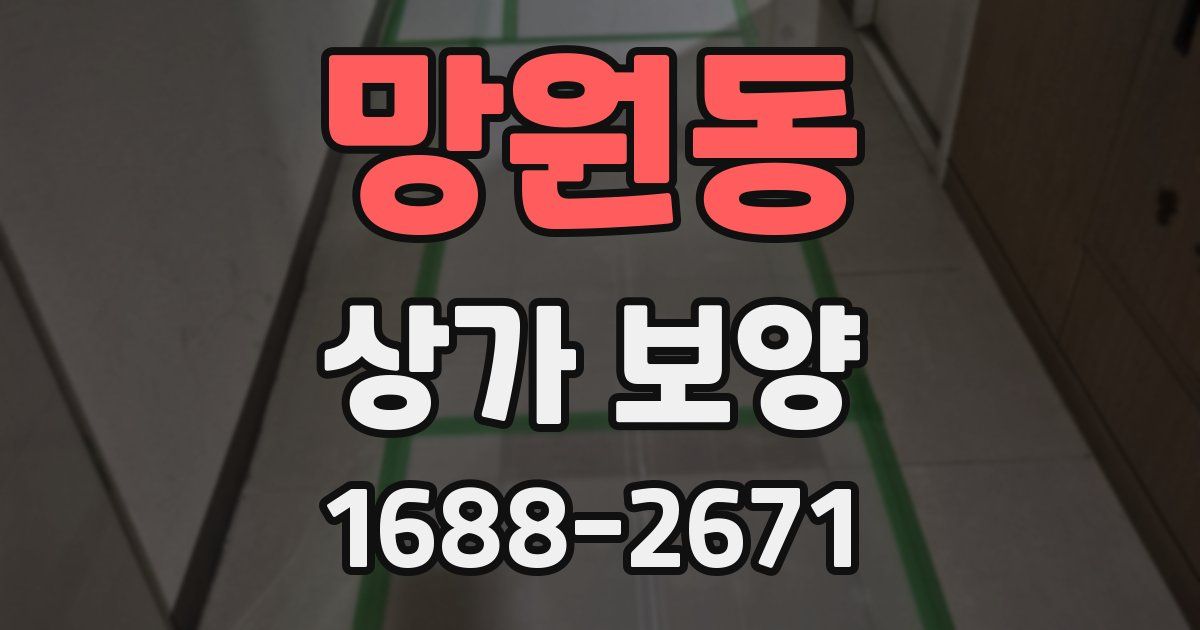 망원동 상가 보양