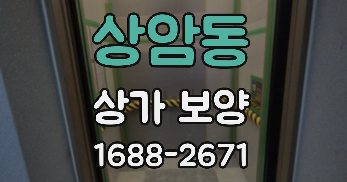 상암동 상가 보양