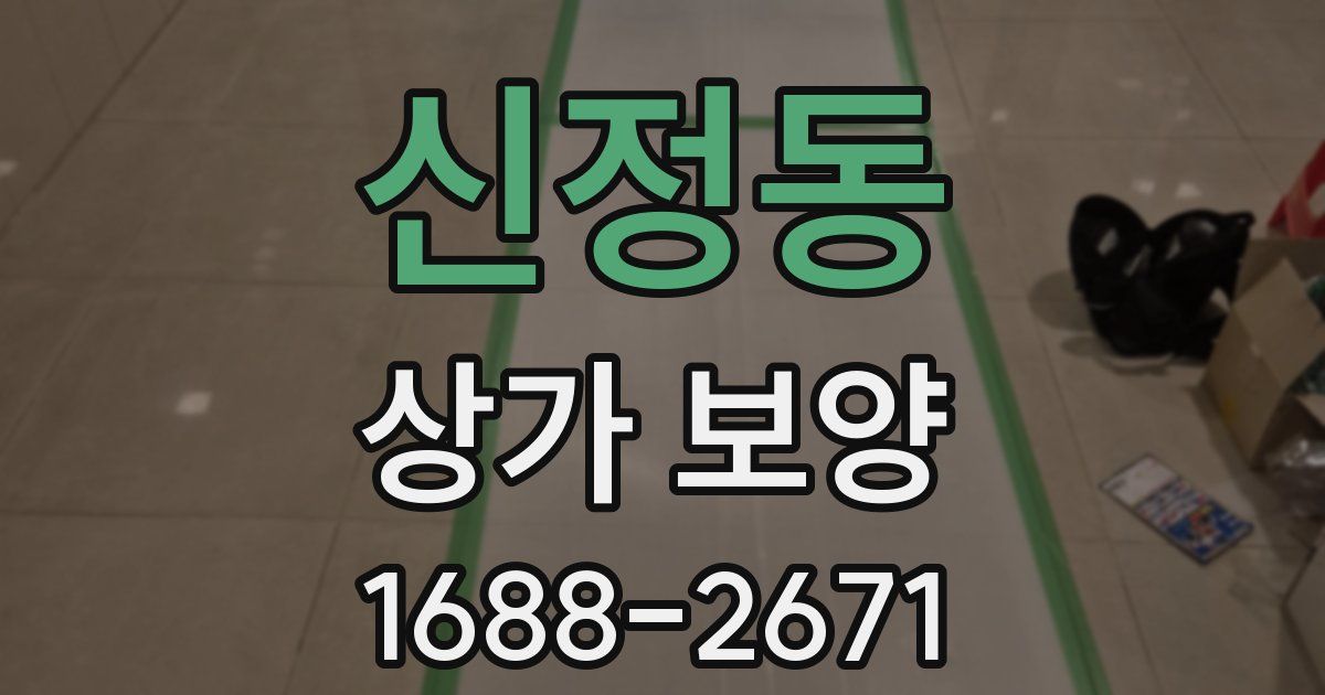 신정동 상가 보양