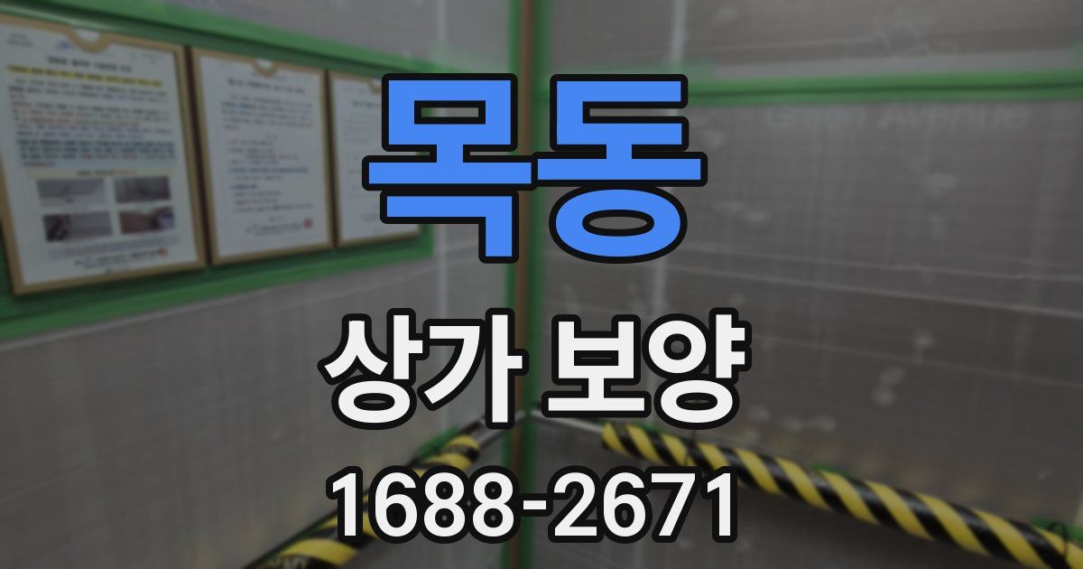 목동 상가 보양