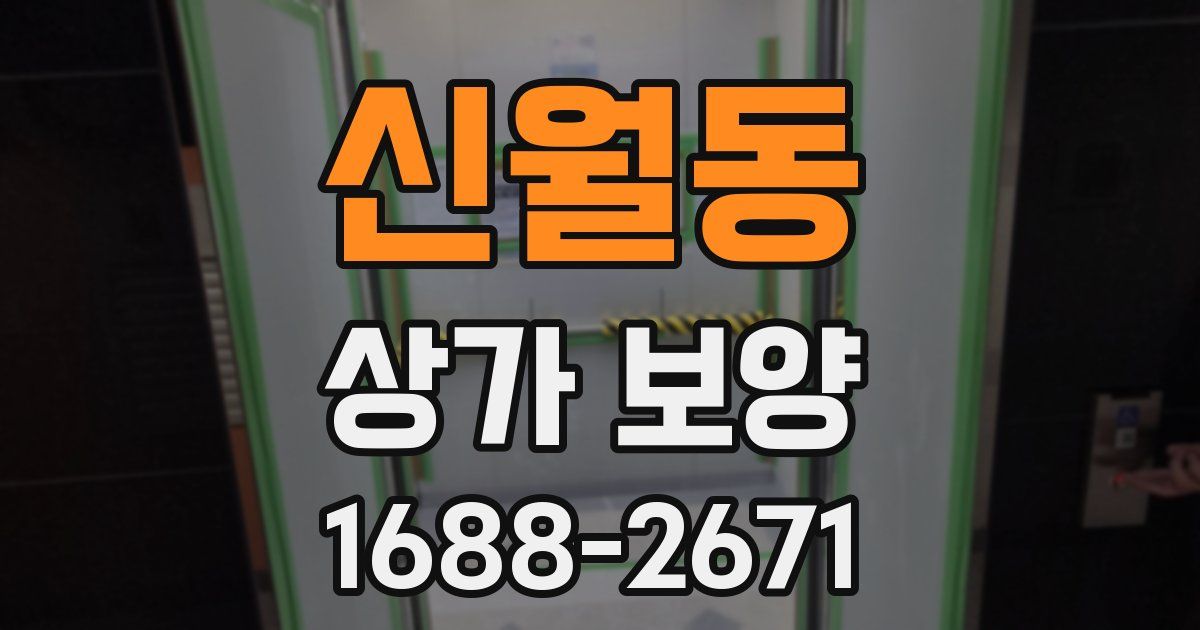신월동 상가 보양