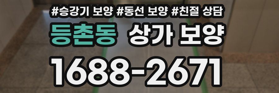 등촌동 상가 보양