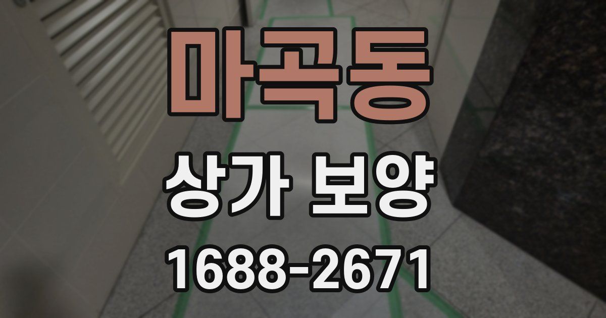 마곡동 상가 보양