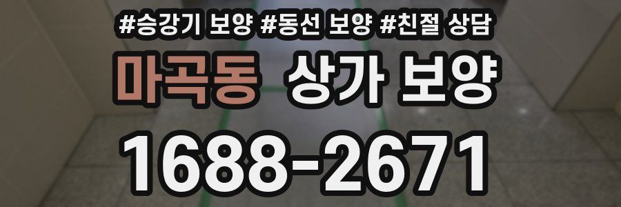 마곡동 상가 보양