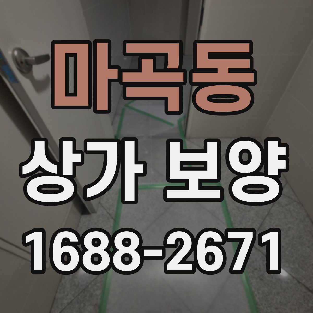 마곡동 상가 보양