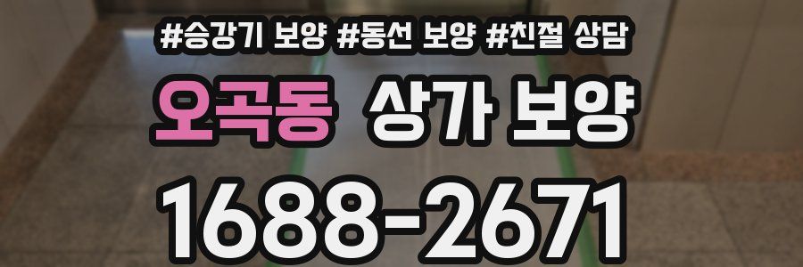 오곡동 상가 보양