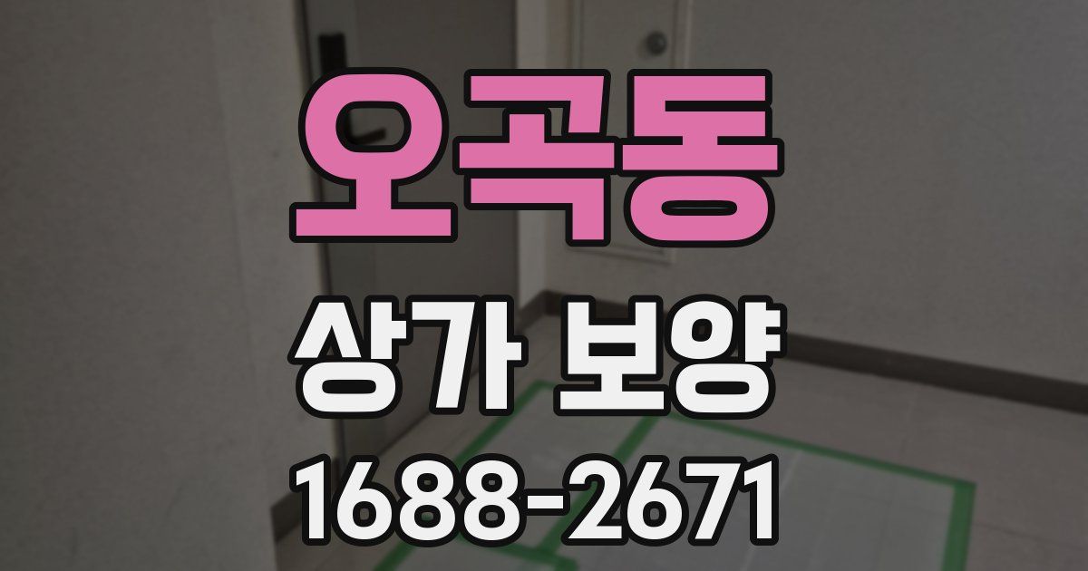 오곡동 상가 보양