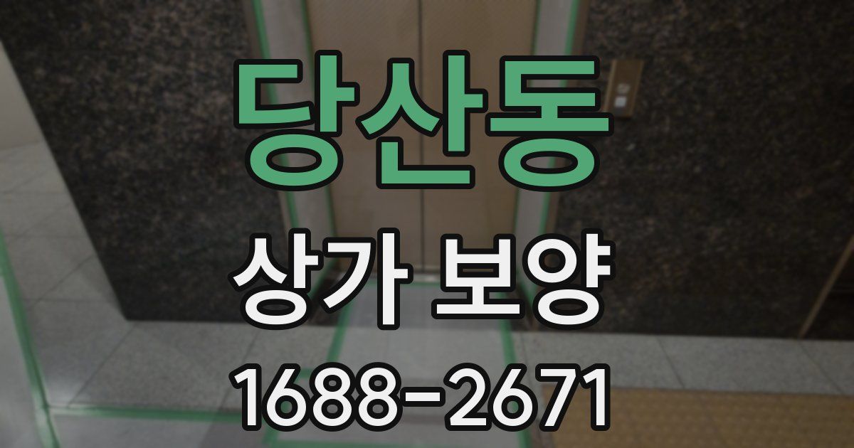 당산동 상가 보양