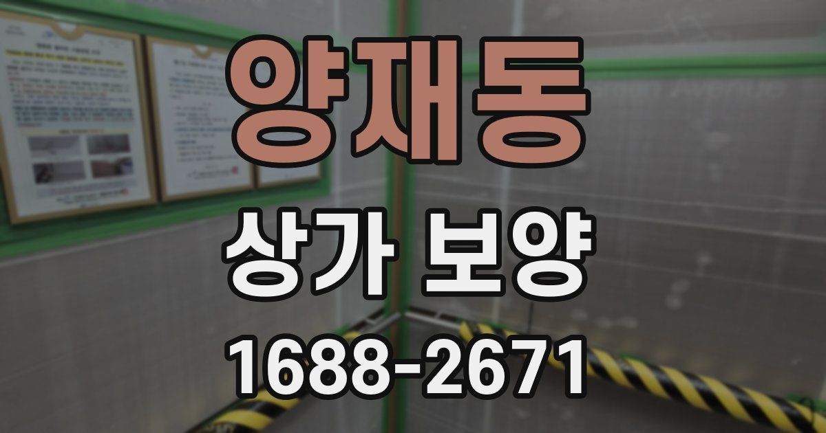 양재동 상가 보양