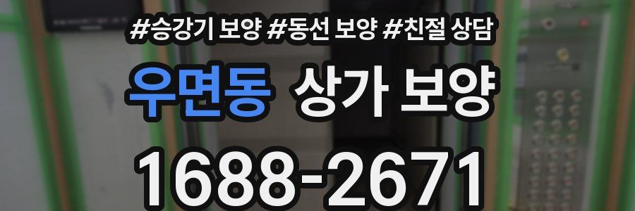우면동 상가 보양