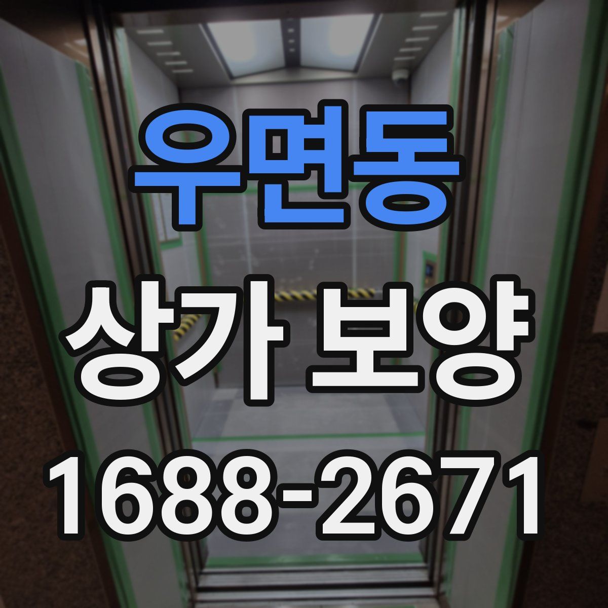 우면동 상가 보양