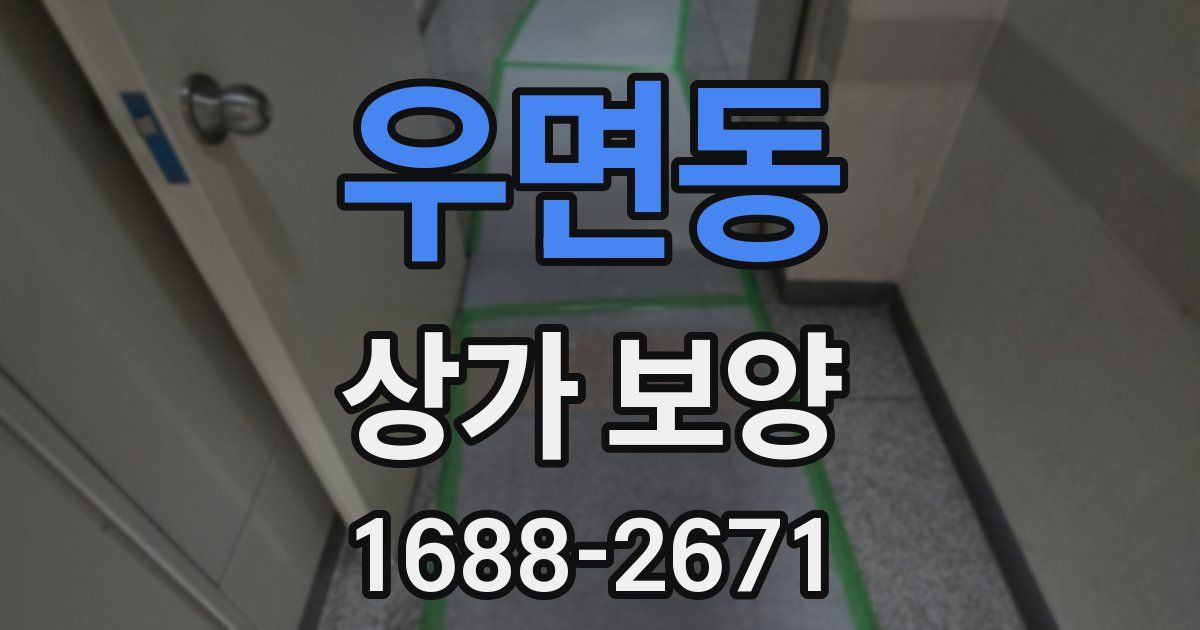 우면동 상가 보양