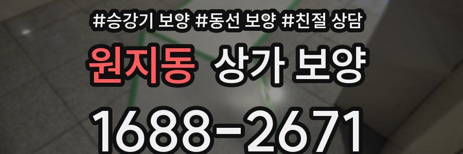 원지동 상가 보양