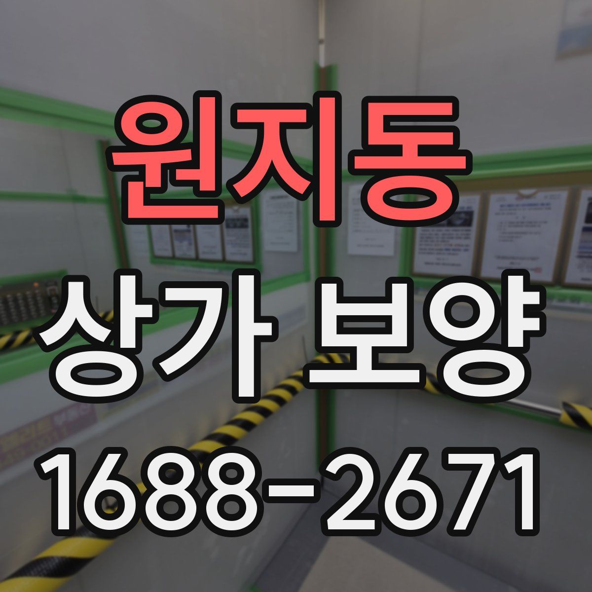 원지동 상가 보양