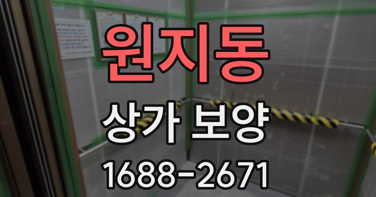 원지동 상가 보양