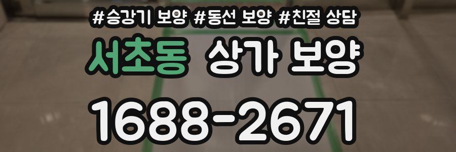 서초동 상가 보양