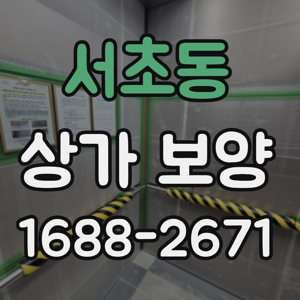 서초동 상가 보양