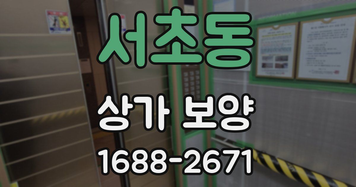 서초동 상가 보양