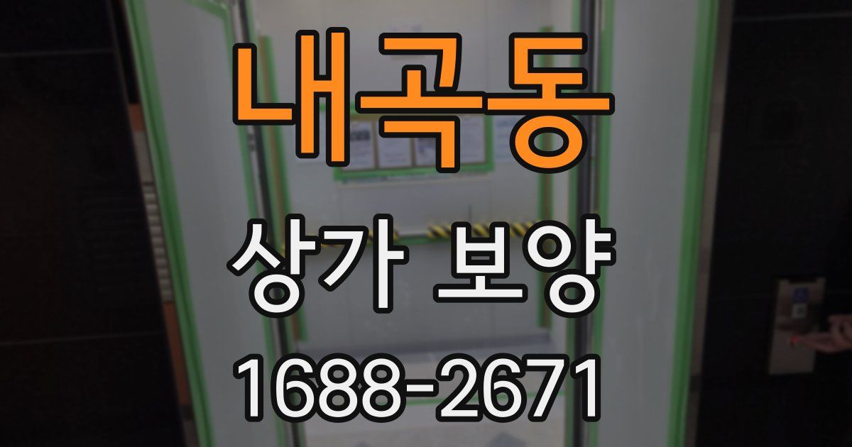 내곡동 상가 보양