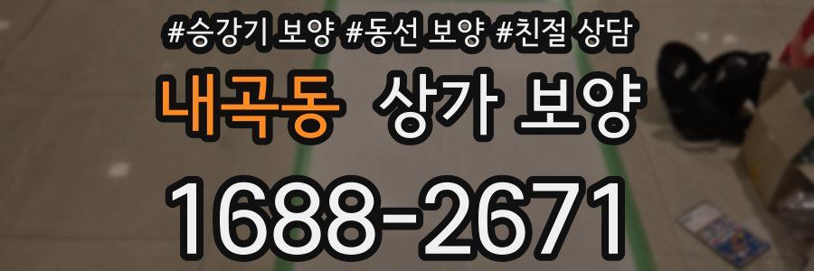 내곡동 상가 보양