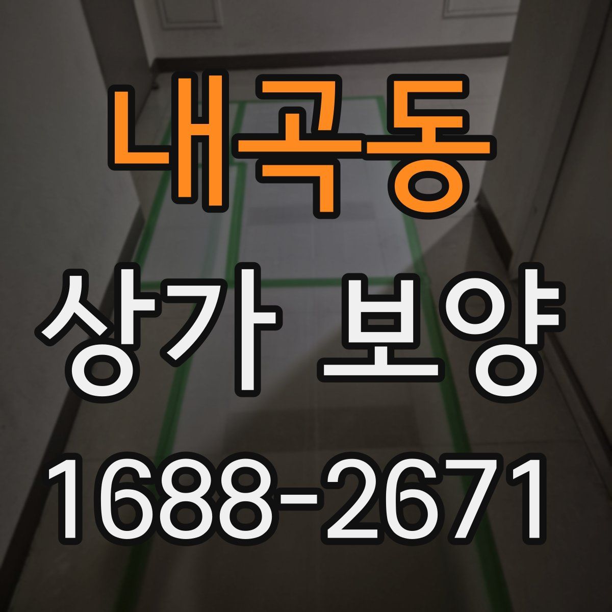 내곡동 상가 보양