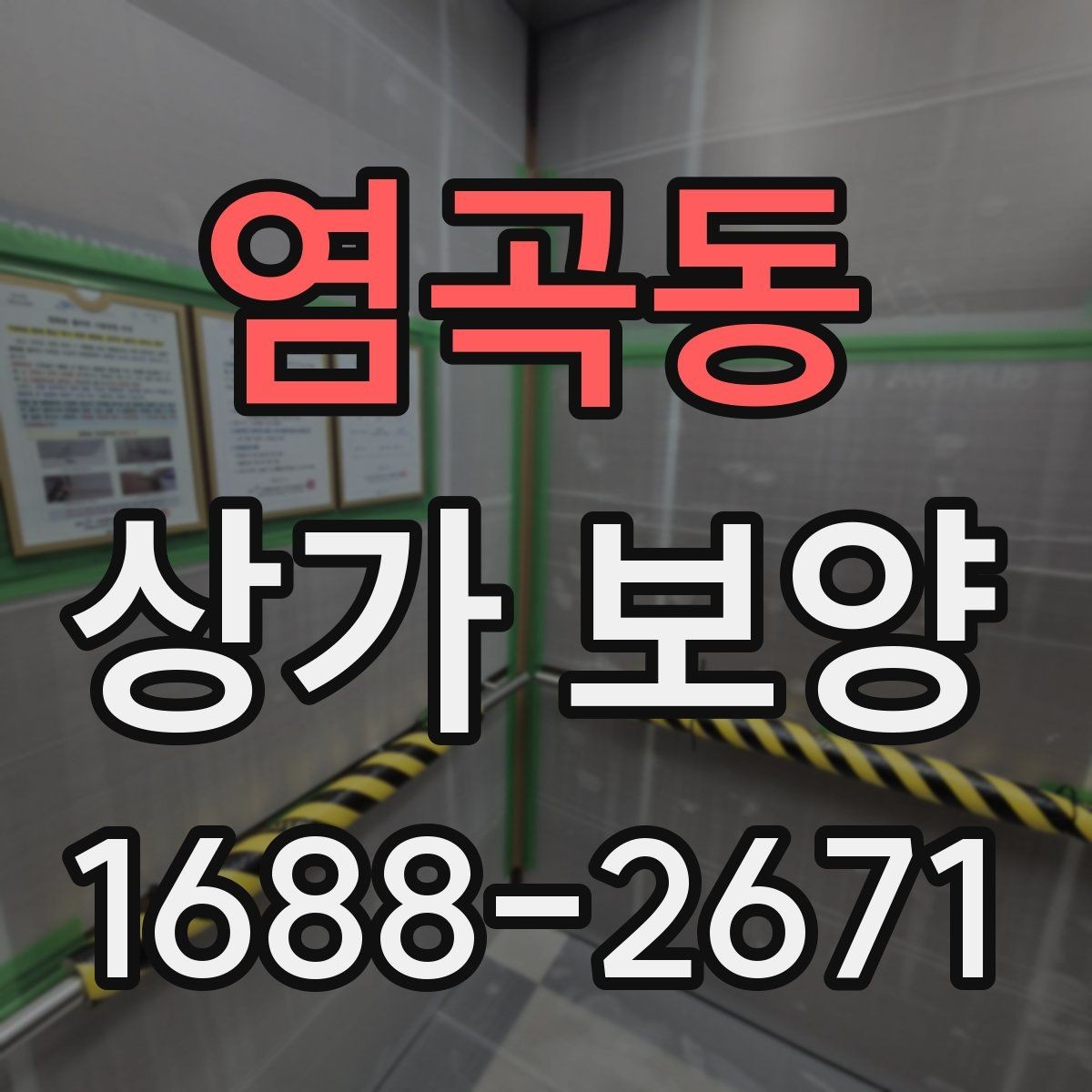 염곡동 상가 보양 시공 사례로 보는 보호 범위
