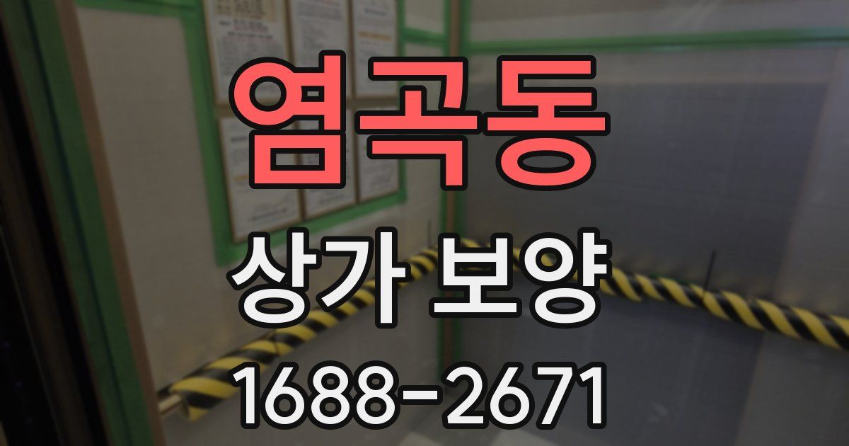 염곡동 상가 보양