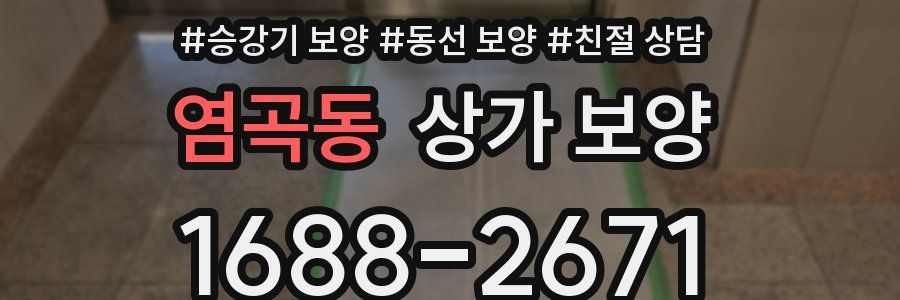 염곡동 상가 보양
