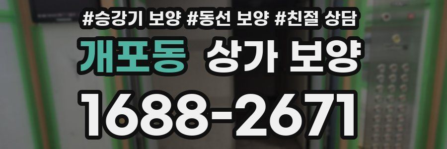 개포동 상가 보양