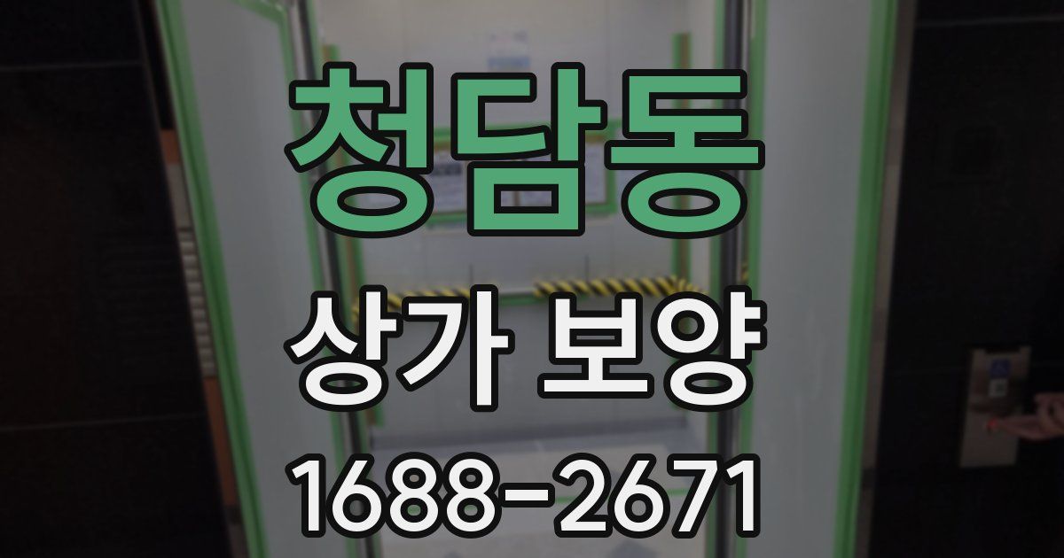청담동 상가 보양