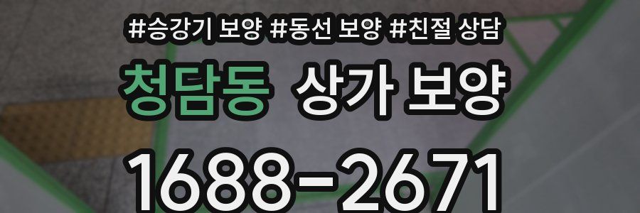 청담동 상가 보양