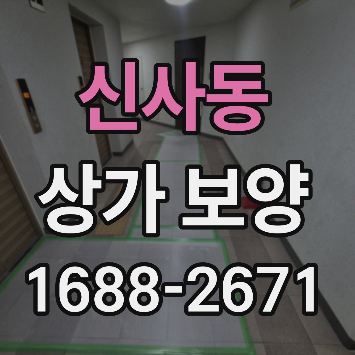 신사동 상가 보양