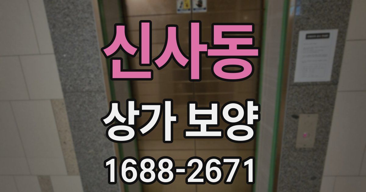신사동 상가 보양