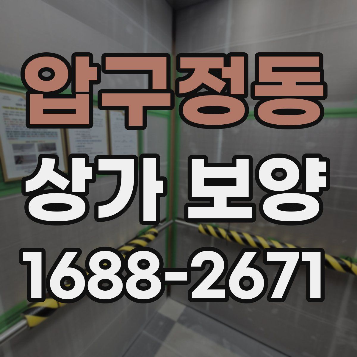 압구정동 상가 보양